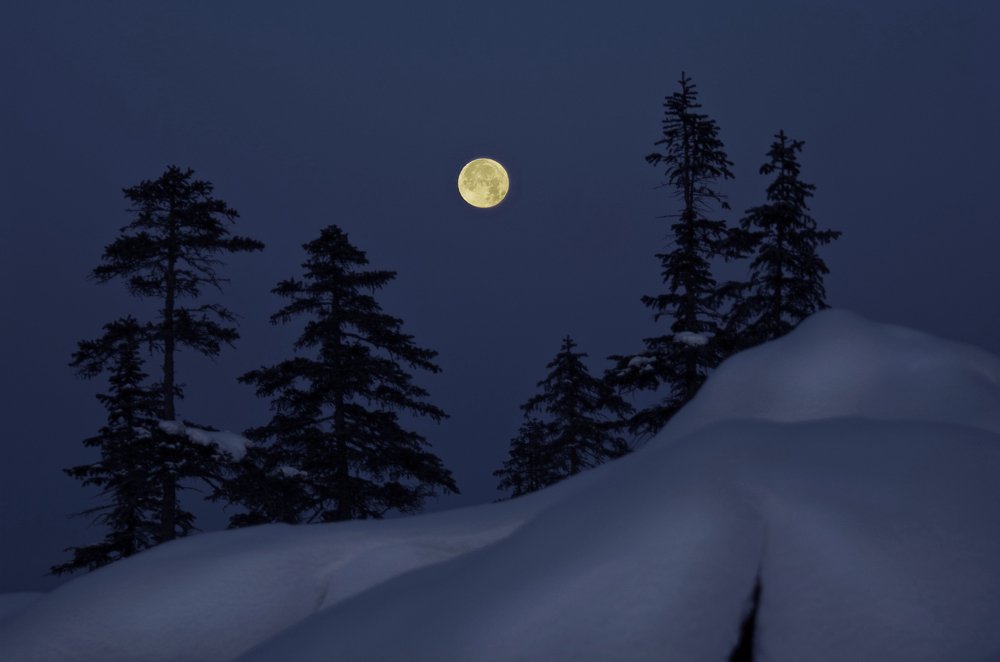 Photograph by Ирина Щеглова