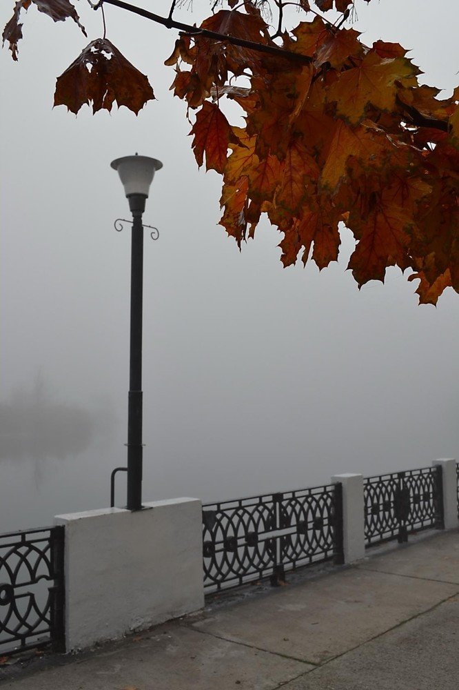 Утро туманное