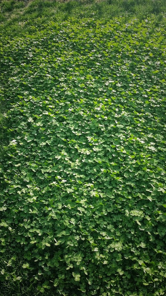 Photograph by Zohre sadat Lajevardi