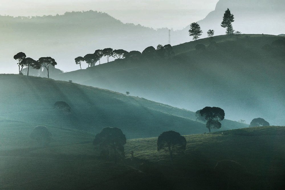 Photograph by Teguh Tofik Hidayat