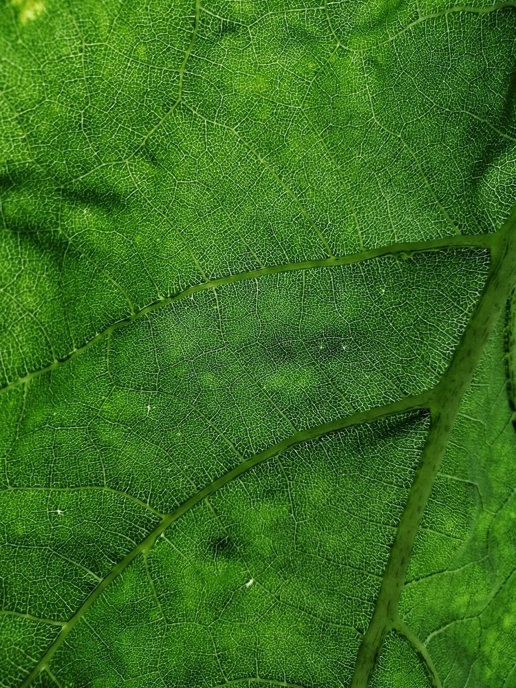 Photograph by Марина Згоник