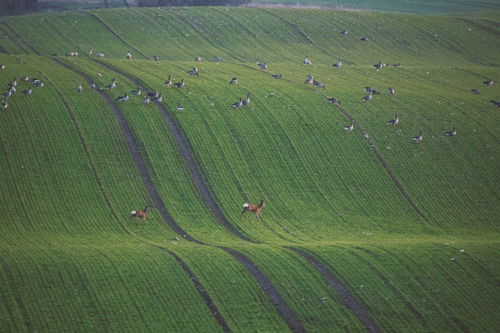 Photograph by Ernestas Balcikonis