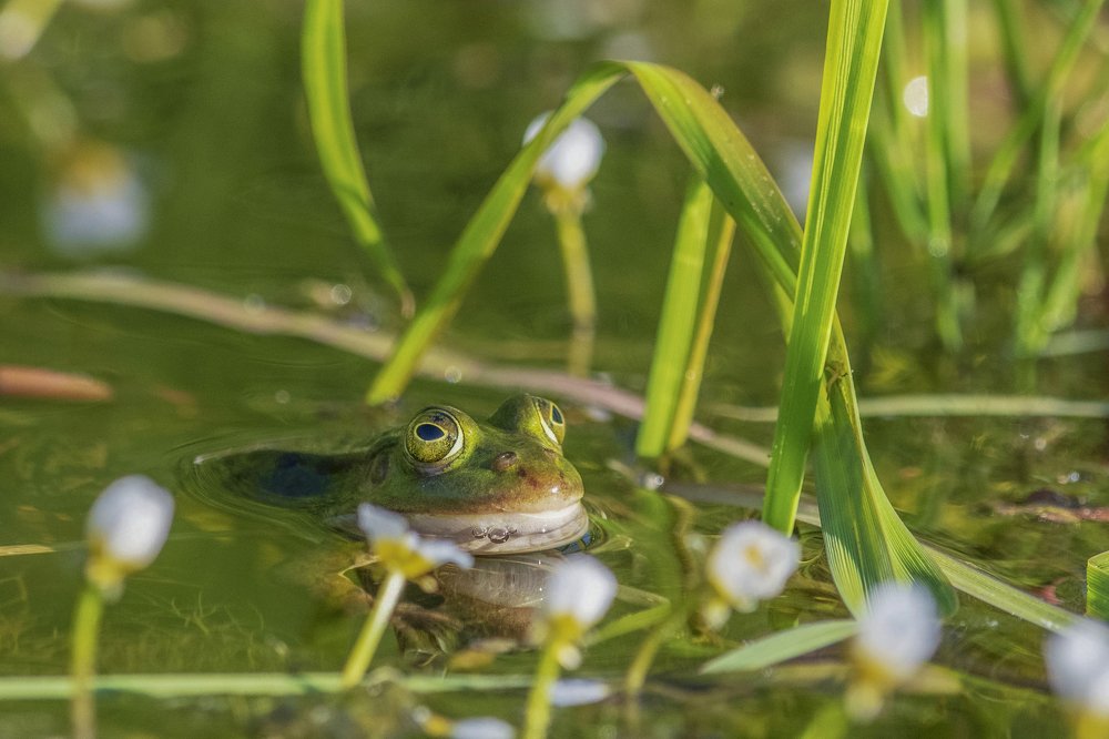 Photograph by Ernestas Balcikonis