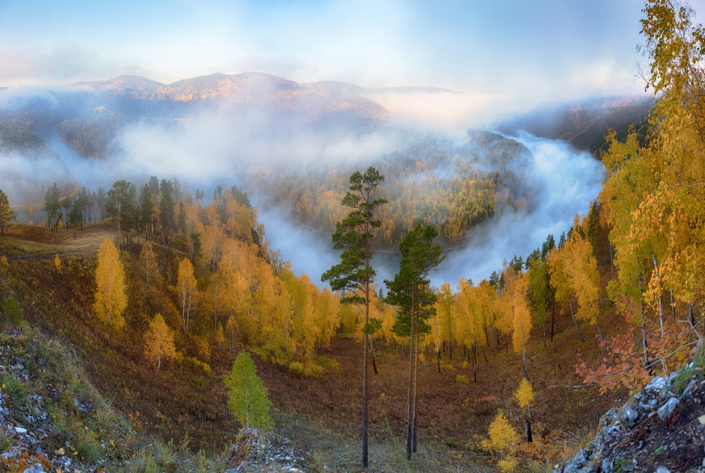 Манская змея.