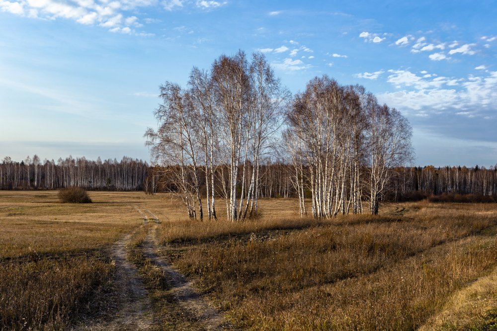 Фотография автора Андрей Логвинович