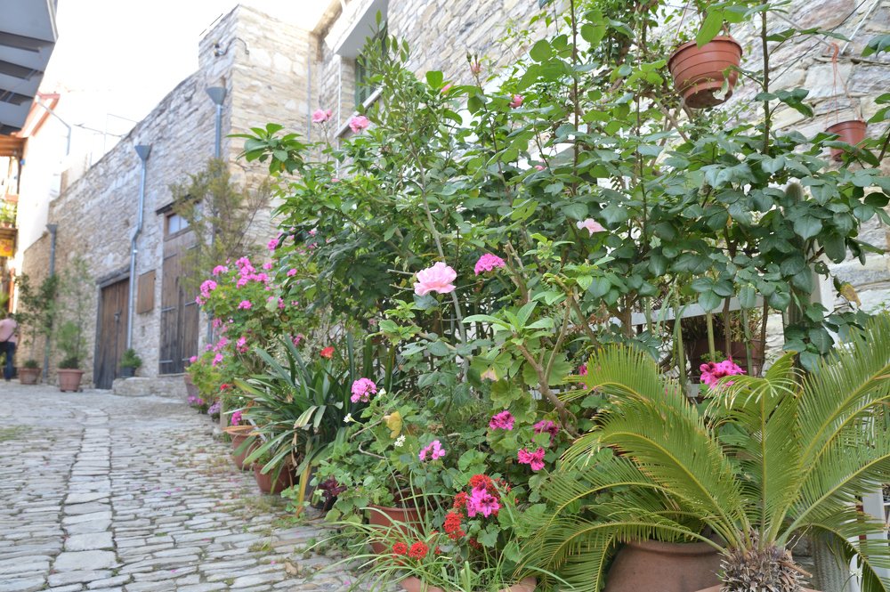 Photograph by  Alexey