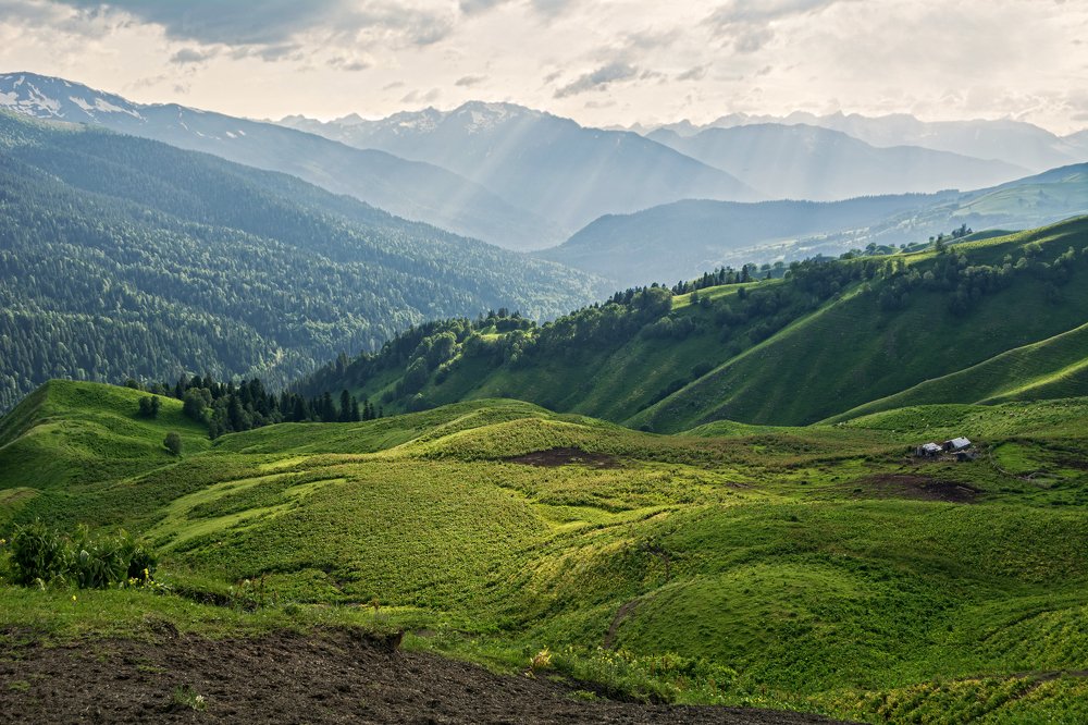 Photograph by Елена Ковалева