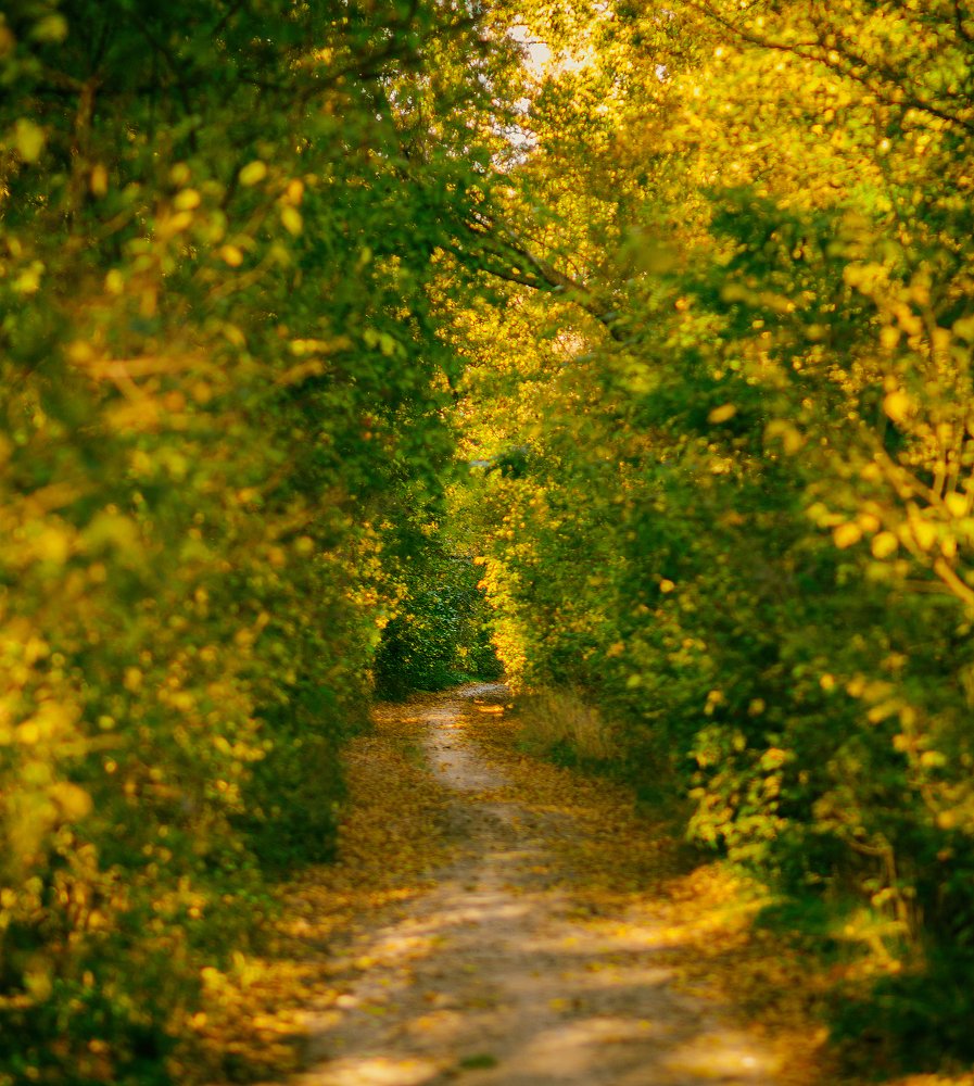 Photograph by Максим Митченко