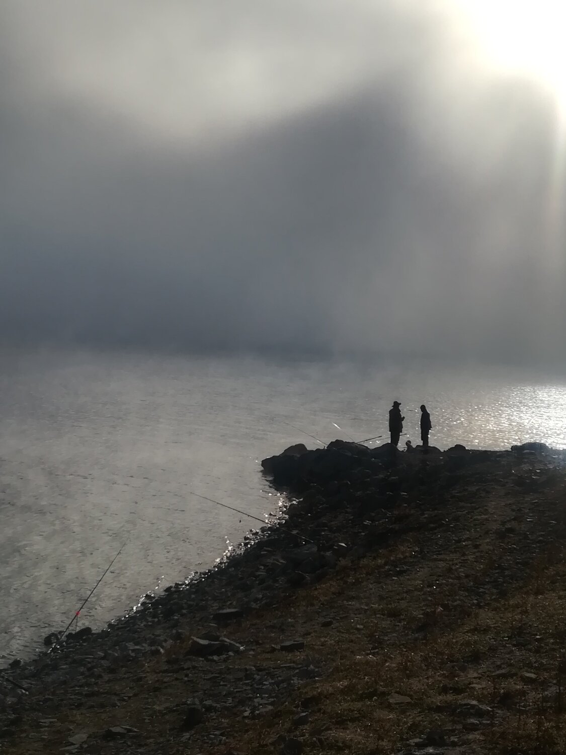 Photo #3794633