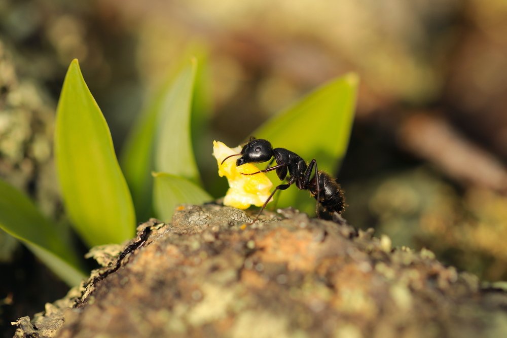Как потопаешь, так и полопаешь!