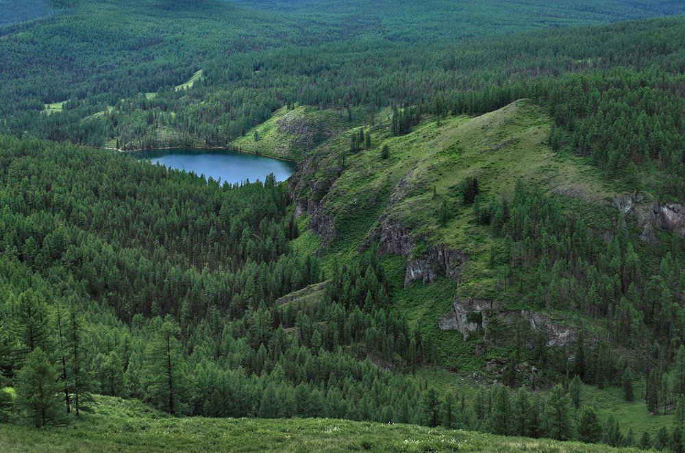 Изумрудная зелень Алтая