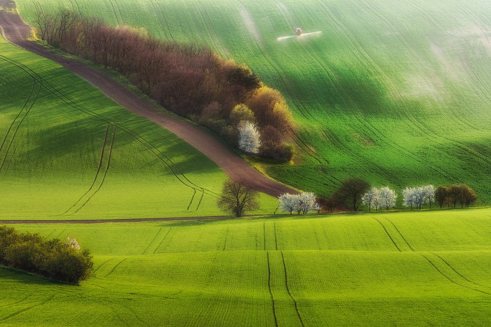 Springtime in Moravia