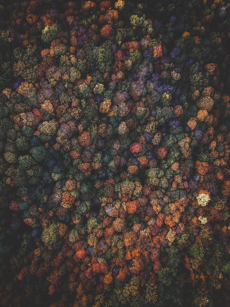 Photograph by Сергей Теряник