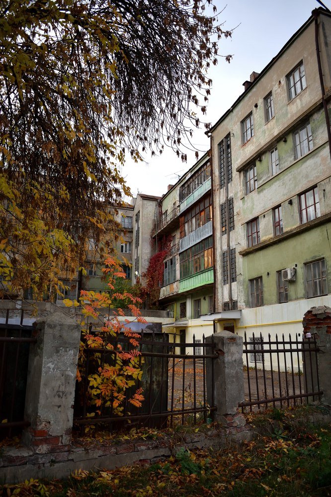 Photograph by Ирина Ященко