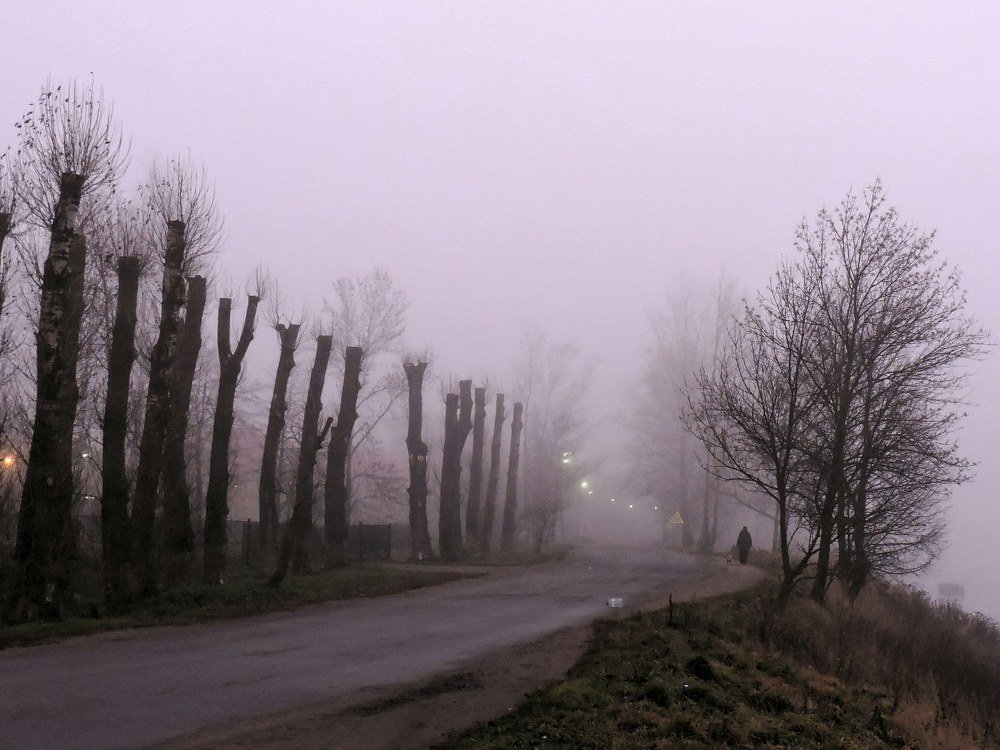 Фотография автора Ольга Канюкова