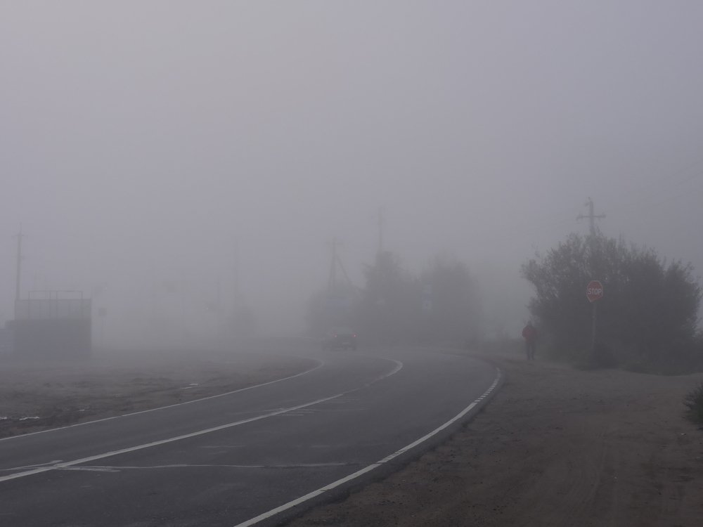 Фотография автора Ольга Канюкова