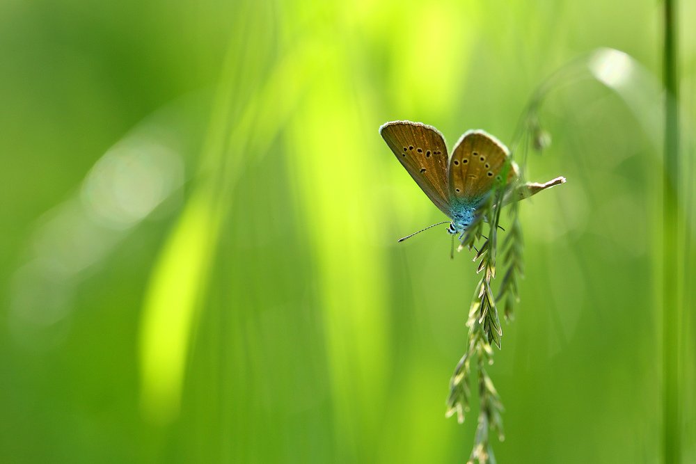 Яркие краски лета