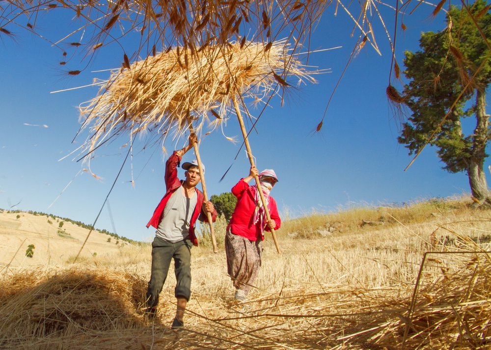 Фотография автора feyzullah Tunç