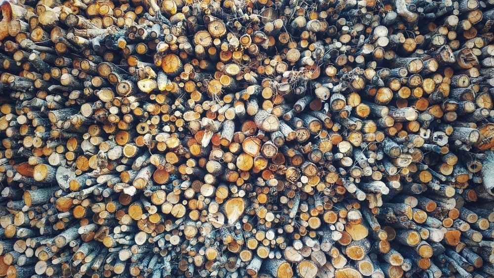 Photograph by Сергей Теряник