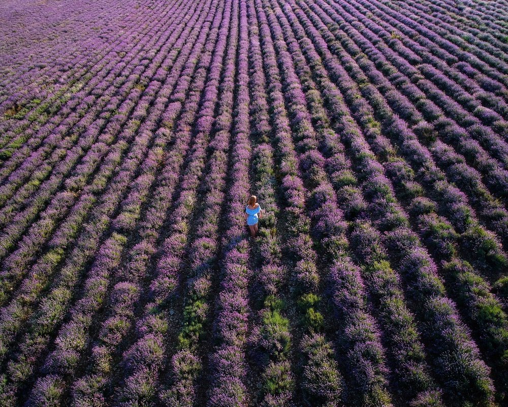 Photograph by Сергей Теряник