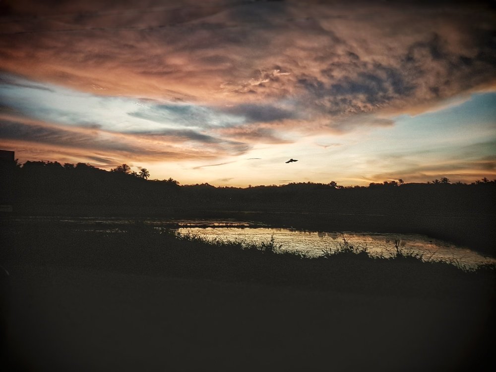 Orange Flavoured Sky