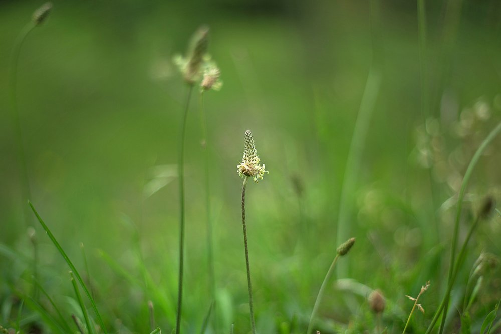 Photograph by Furqan LW