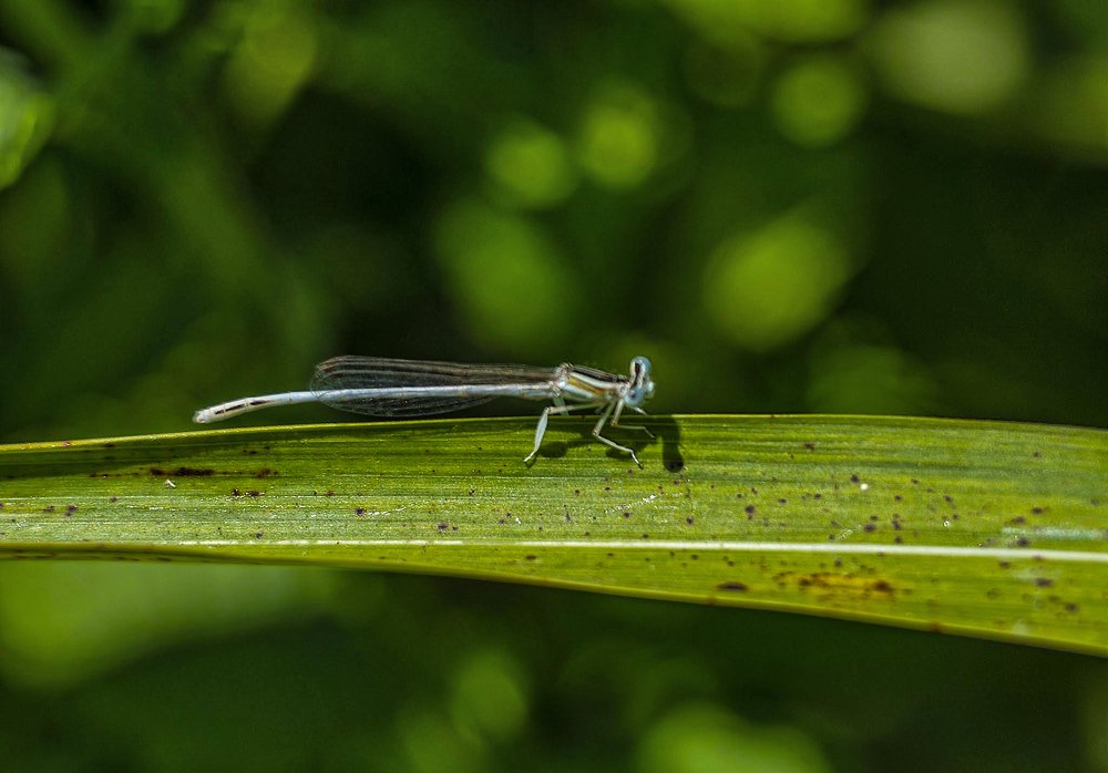 Photograph by Владислав Айзенберг
