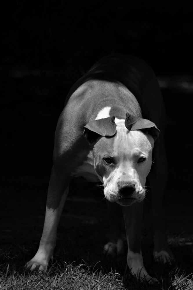 Photograph by Jakkie Laas