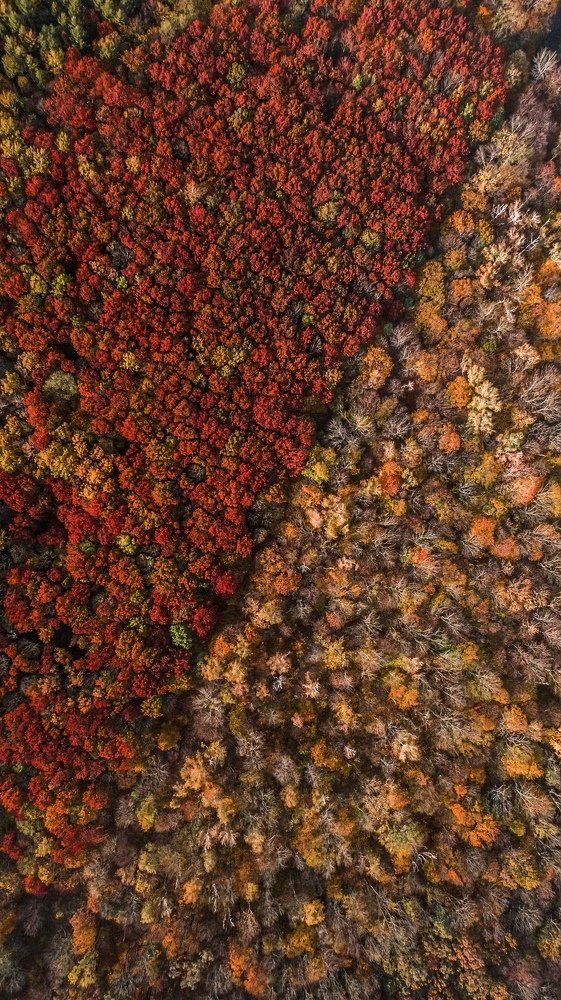 Фотография автора Александр Домбровский