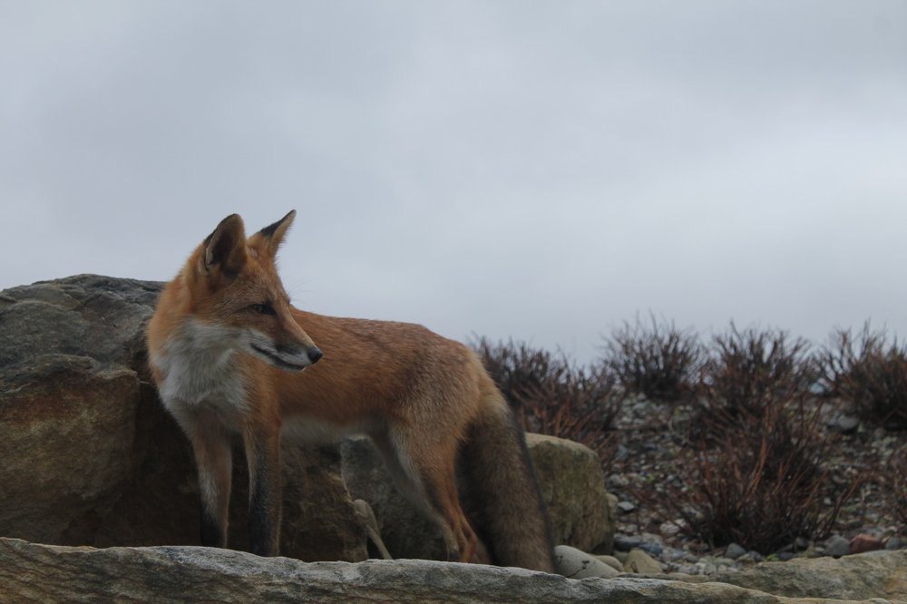 Photograph by Aleksandr Korotkov