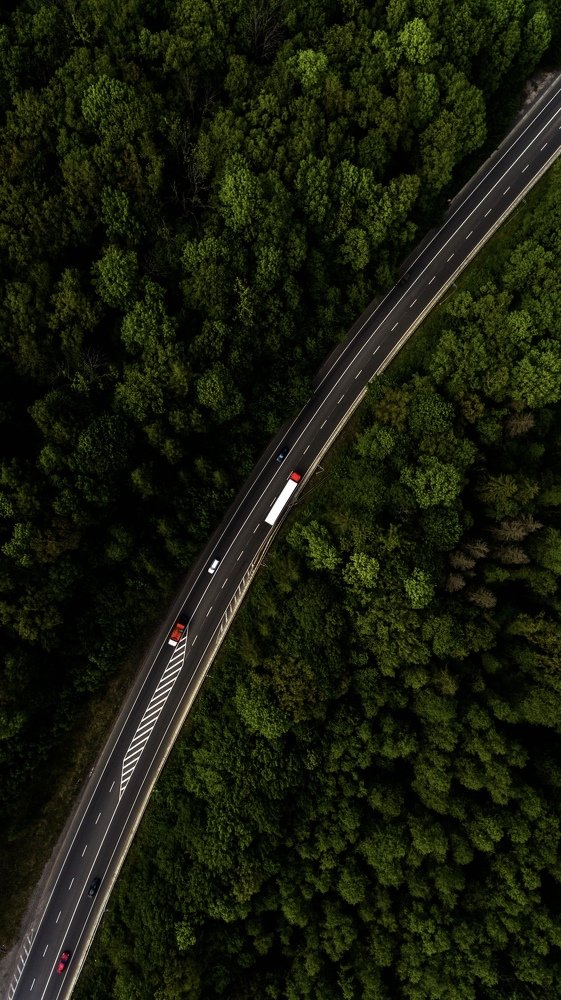 Дорога бегущая сквозь густой лес