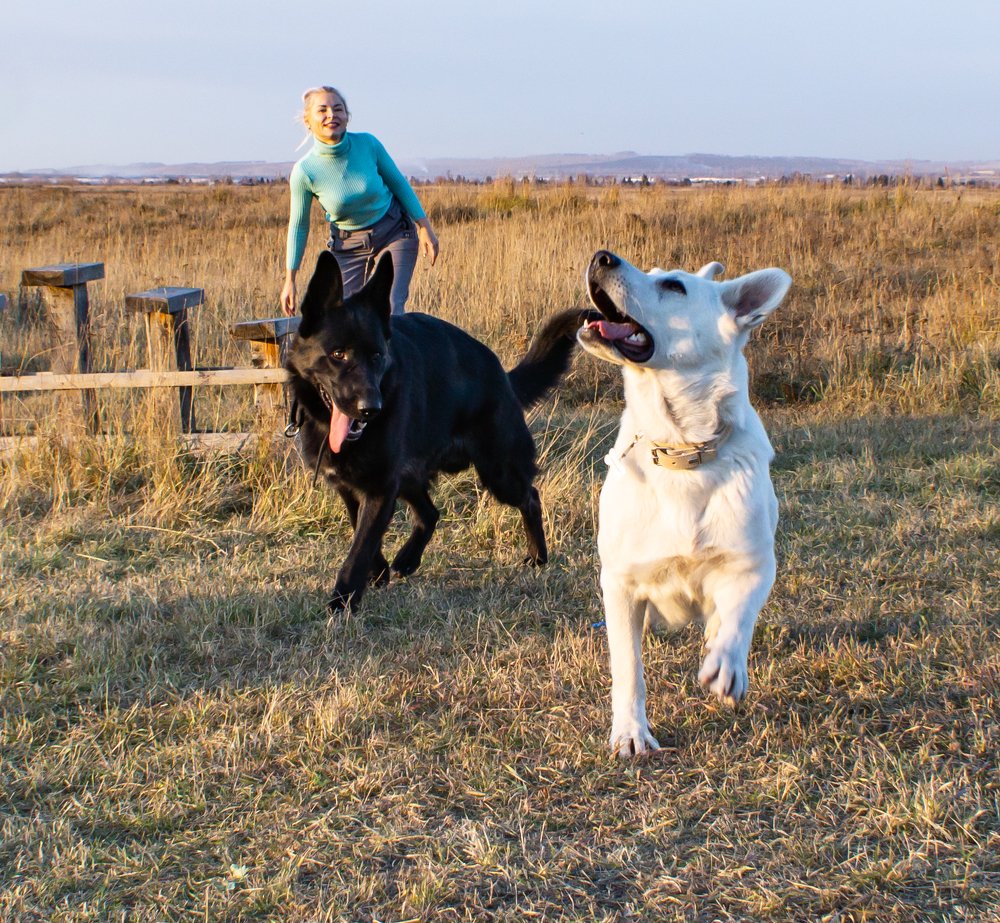 Photograph by Ирина Шабалина