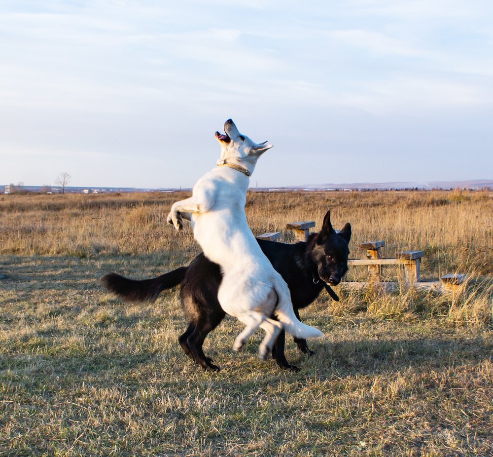 Photograph by Ирина Шабалина