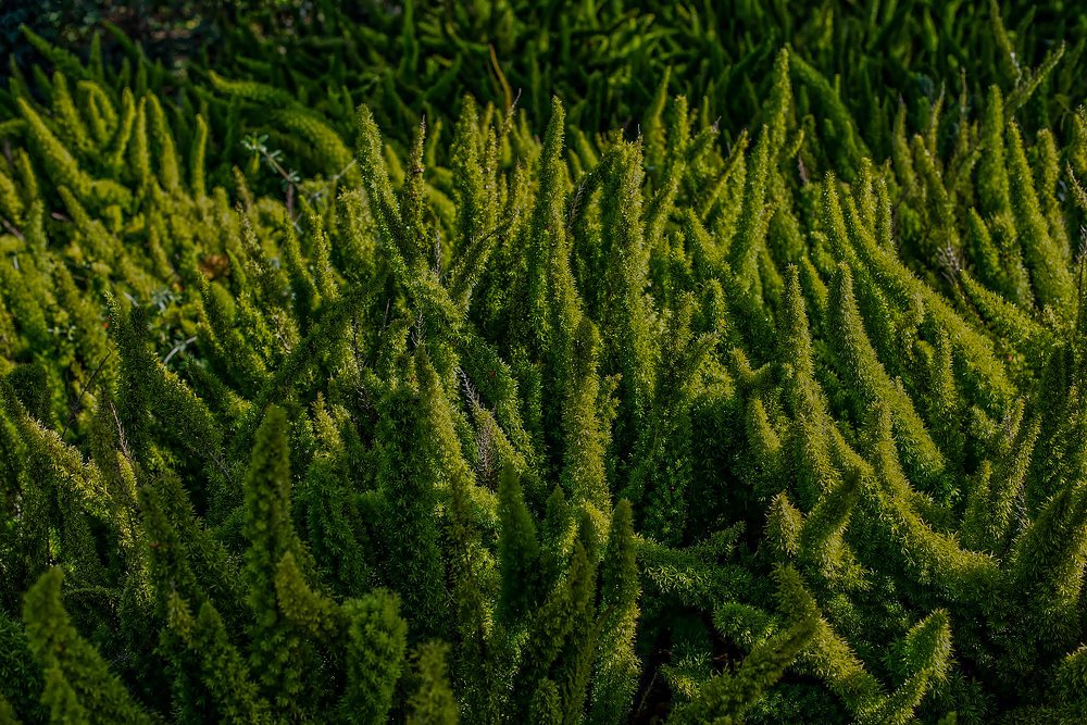 Photograph by Владислав Айзенберг