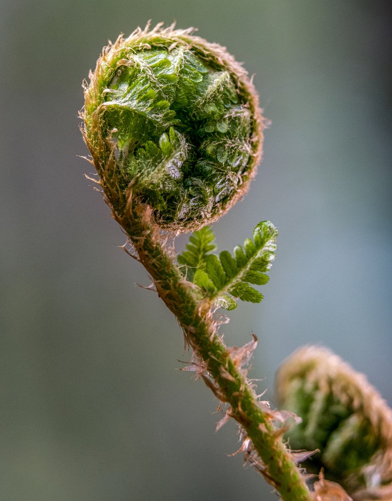 Photograph by Юрий Чернов