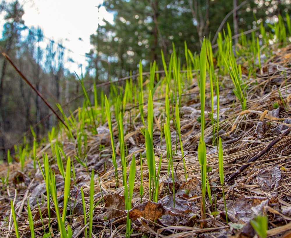 Photograph by Юрий Чернов
