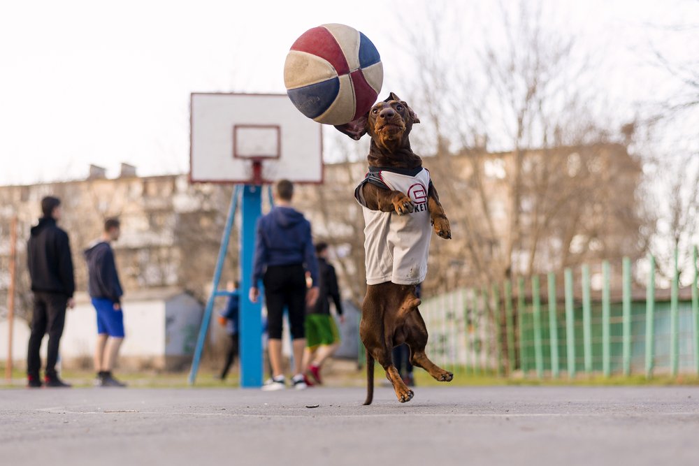 Photograph by Ольга Тенилова