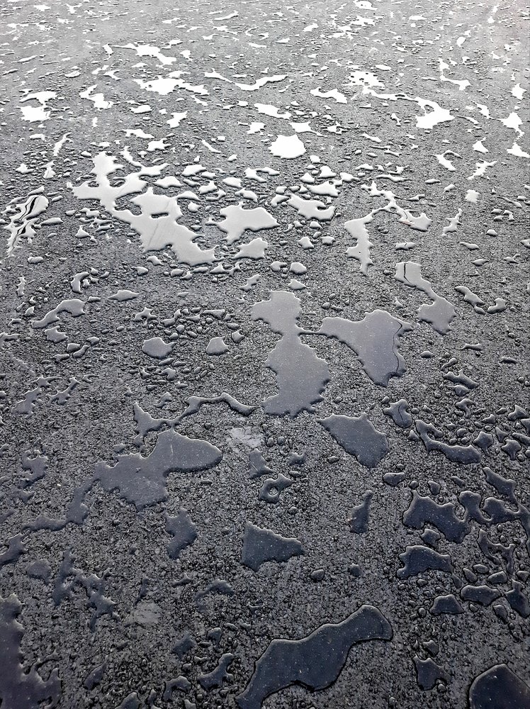 Фотография автора Светлана Дунаева