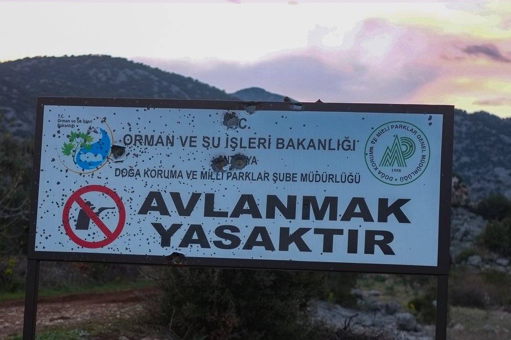 Photograph by Мария Причиненко