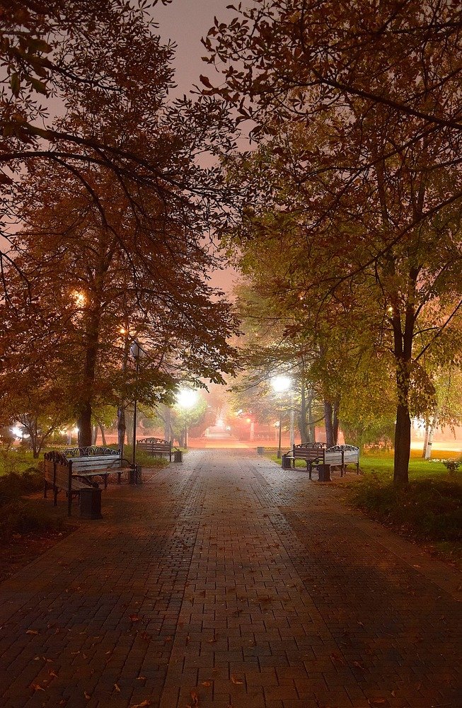 Photograph by Margo Margo