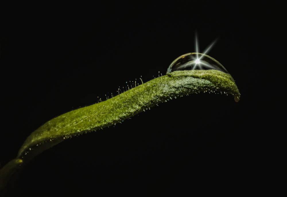 Photograph by Виктор Сёмушкин