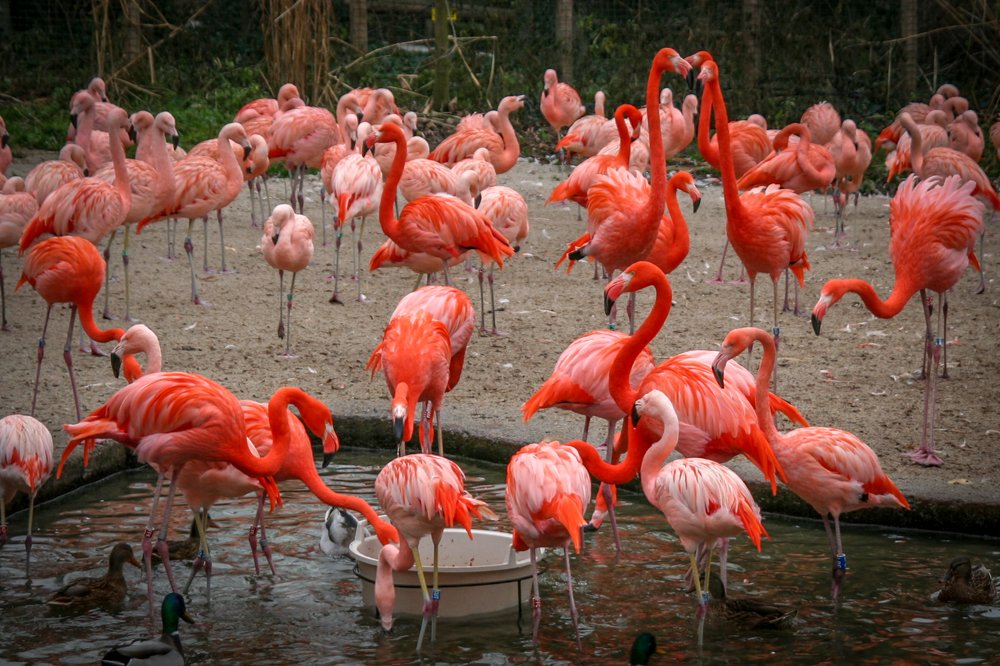 Photograph by Мария Причиненко