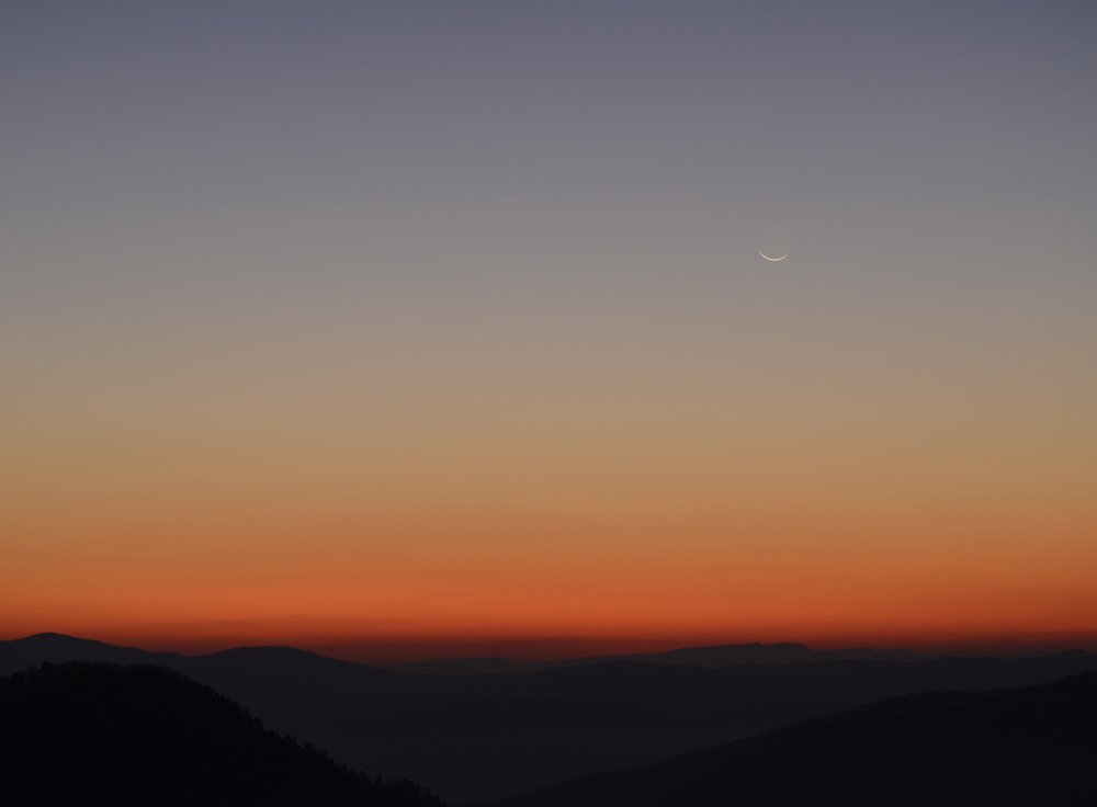 Фотография автора Медведев Сергей