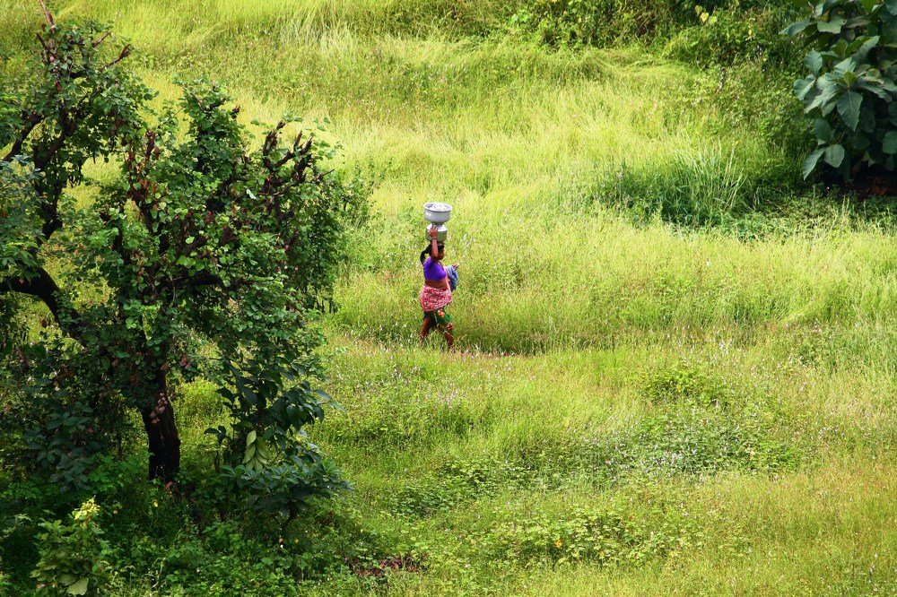 Photograph by subhash purohit