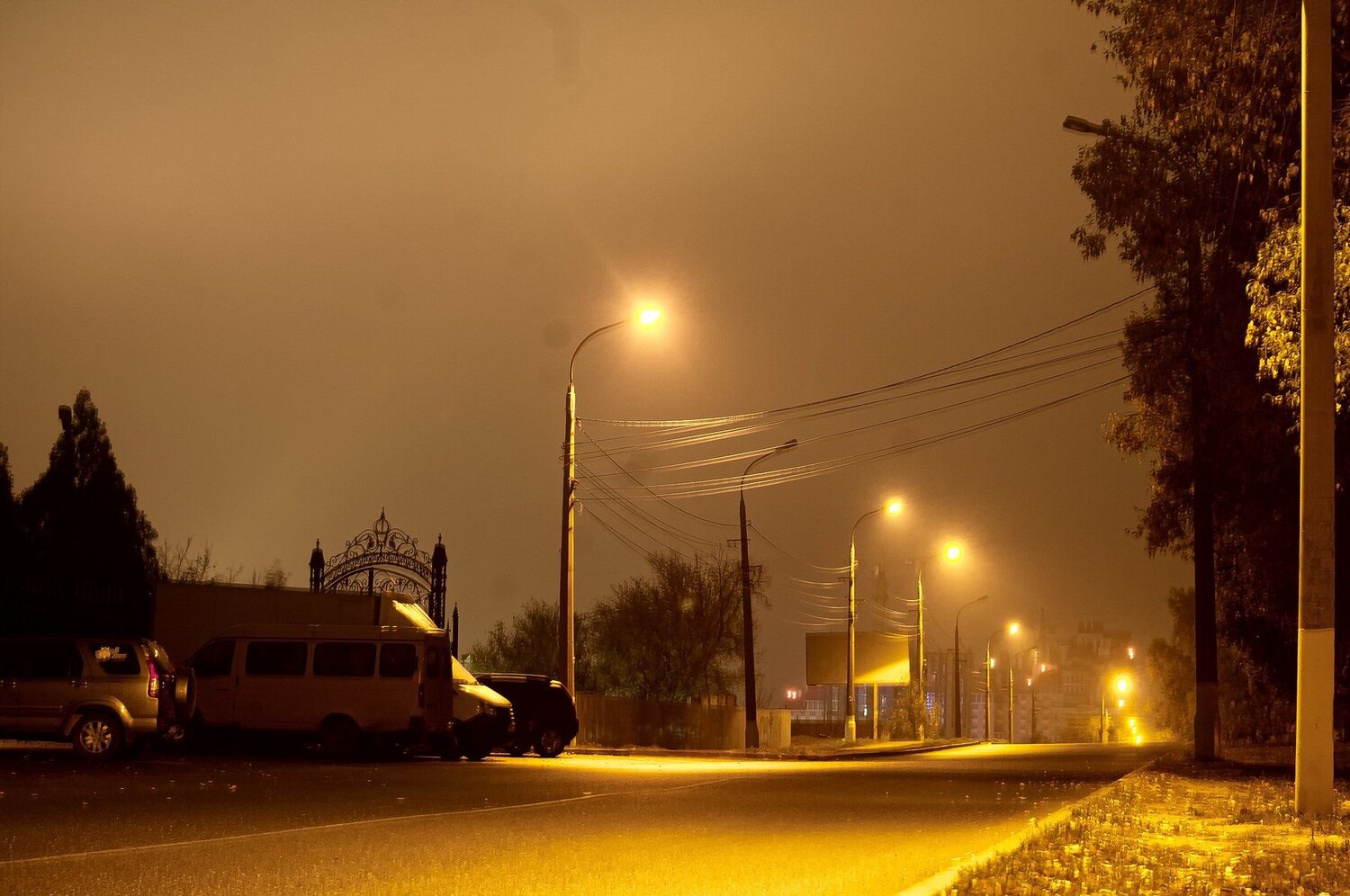 Photo #3795748