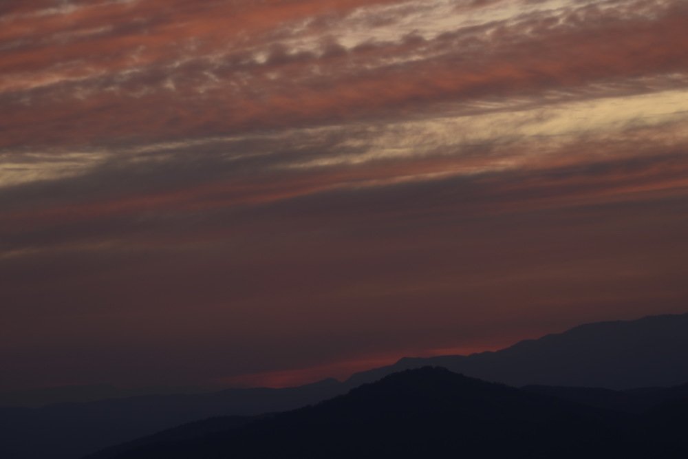 Фотография автора Медведев Сергей