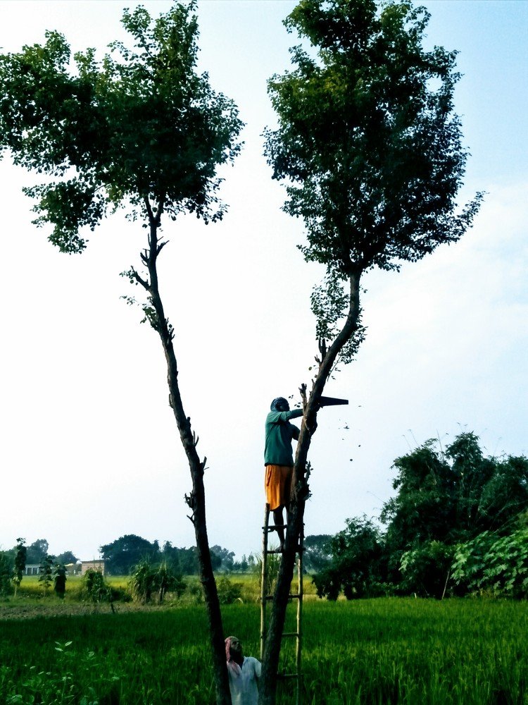 Photograph by Ashwini Rai