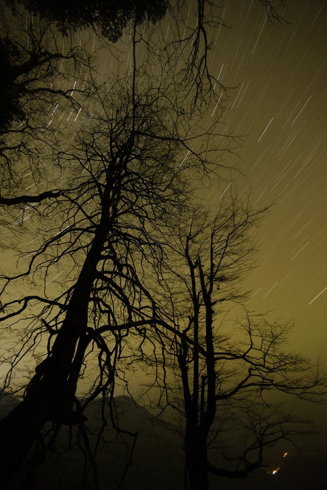 Фотография автора Медведев Сергей