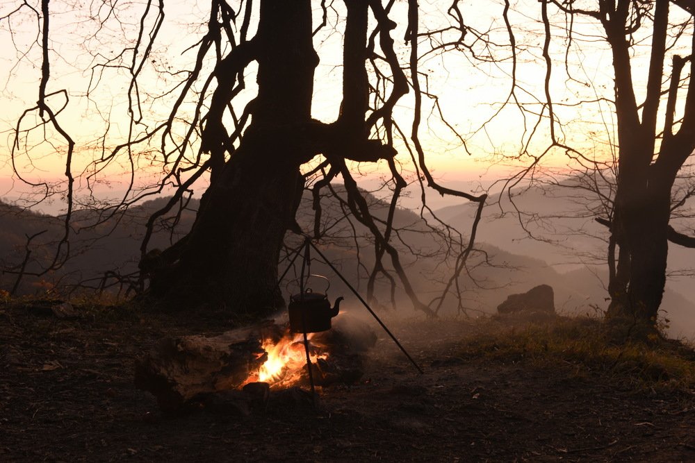 Фотография автора Медведев Сергей