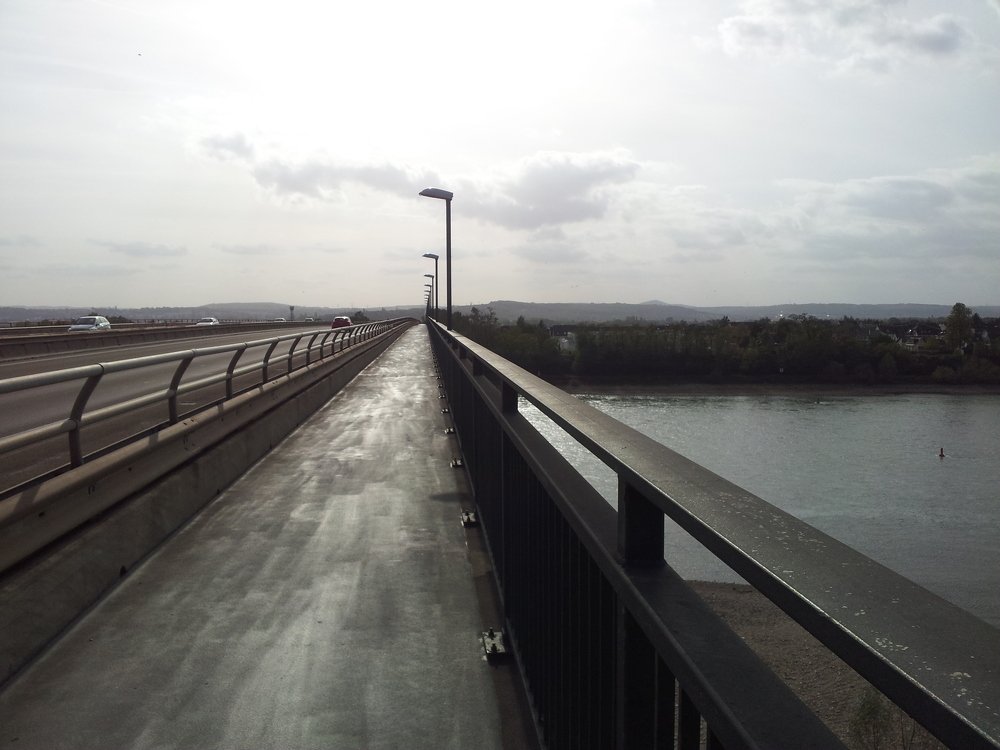 Photo #3795810